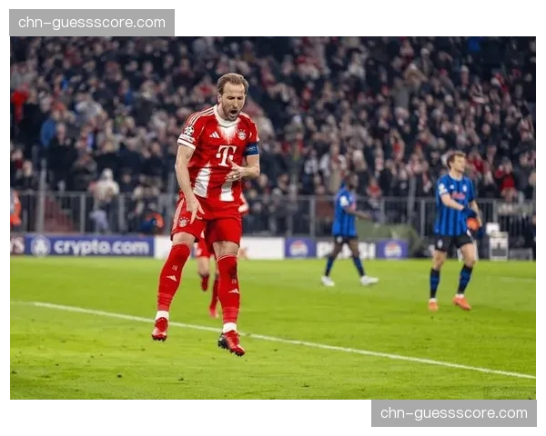 凯恩伤势恢复良好，有望出战欧冠半决赛